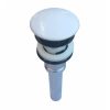 nút nhấn xả bằng sứ 0014068-WC 2 0014068 WC