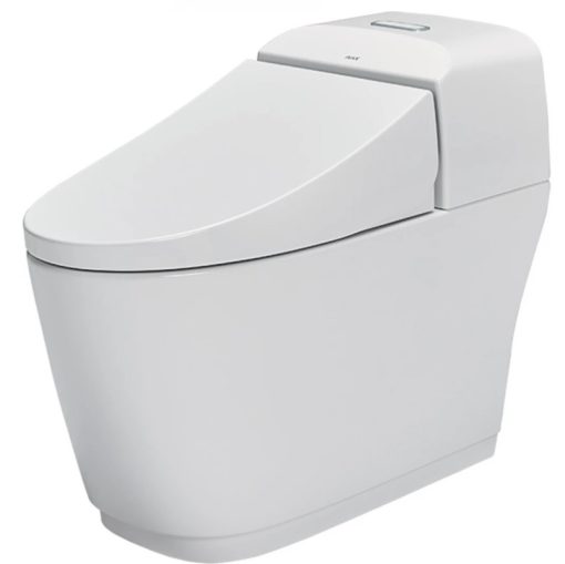 bồn cầu 1 khối AC-1032VN/BW1