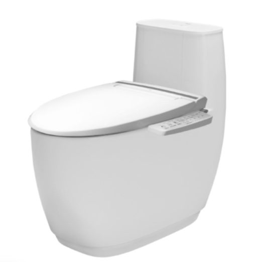 bồn cầu + nắp rửa điện tử AC-1052+CW-KB22AVN/BW1