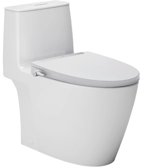 bồn cầu + nắp rửa cơ AC-902+CW-S32VN/BW1