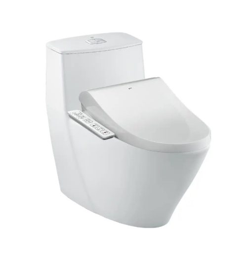 bồn cầu + nắp rửa điện tử AC-919R+CW-H18VN/BW1